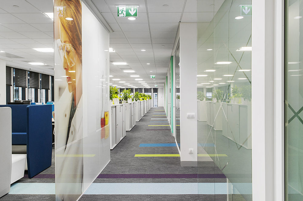 Photo Glass partitions NAYADA-Crystal