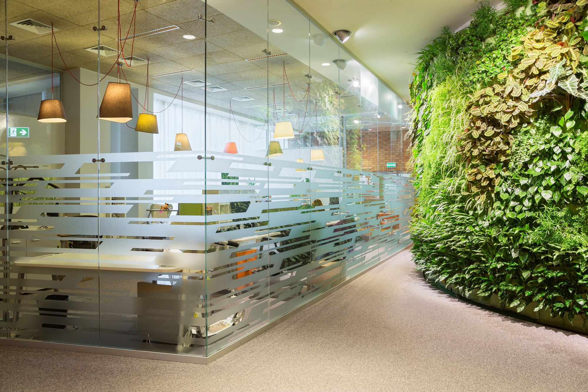 Photo Glass partitions NAYADA-Crystal