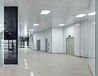 Photo Glass doors (all-glass)