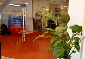 NAYADA-Crystal in project Grammarly